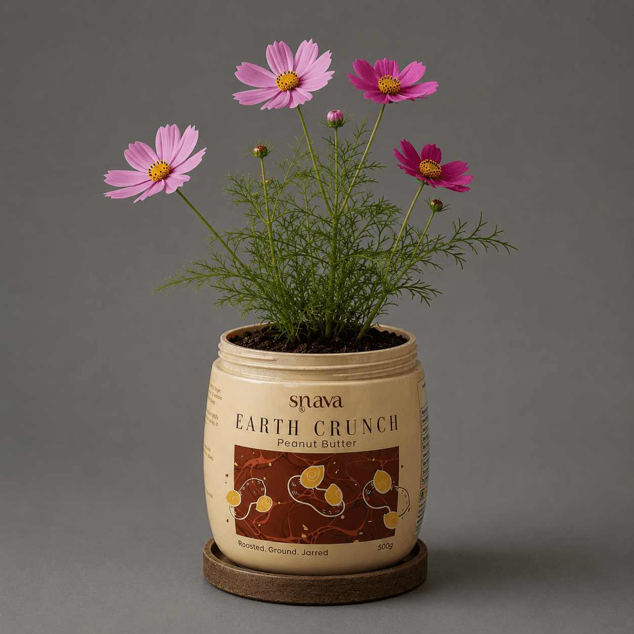 Earth Crunch — planted seed growing