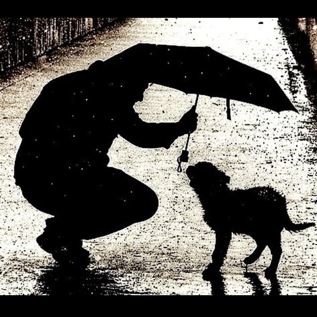 Animal welfare — a life protected